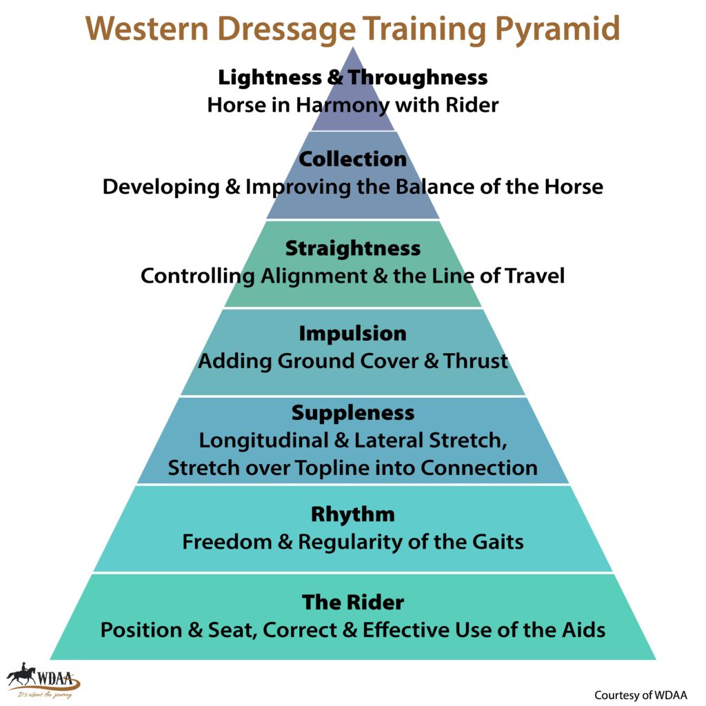 clinic:  where are you on the western dressage pyramid